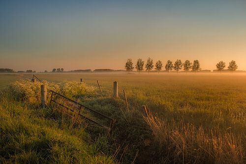 Betuws landschap