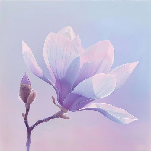 Magnolia bloesem