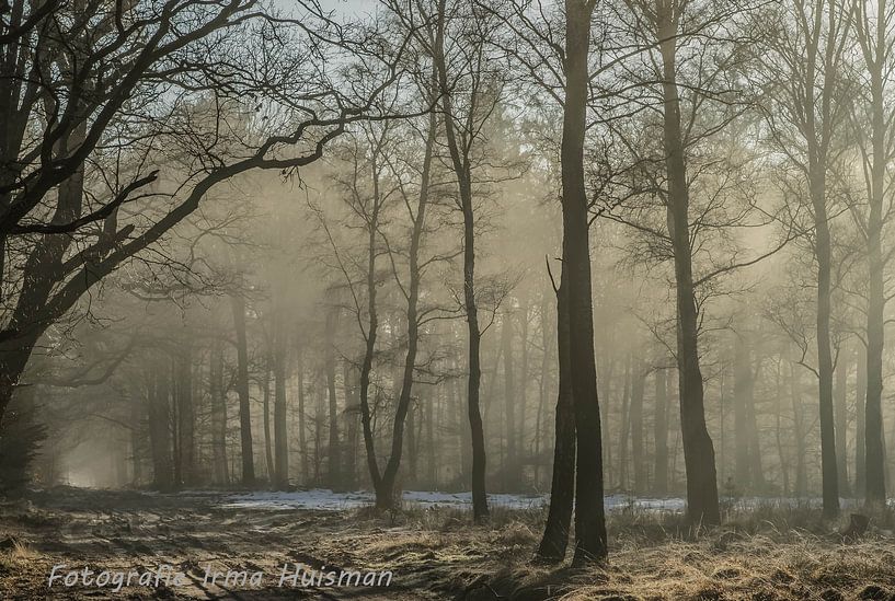 Winter in t land van Irma Huisman