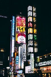 Shinjuku by Night: Tokyo's Neon Jungle by Ken Tempelers