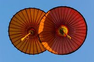Hangende parasols van Adri Vollenhouw thumbnail