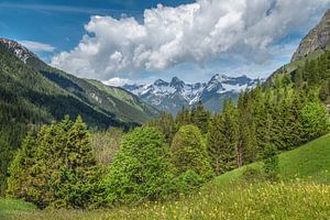 Berge am Hantenjoch