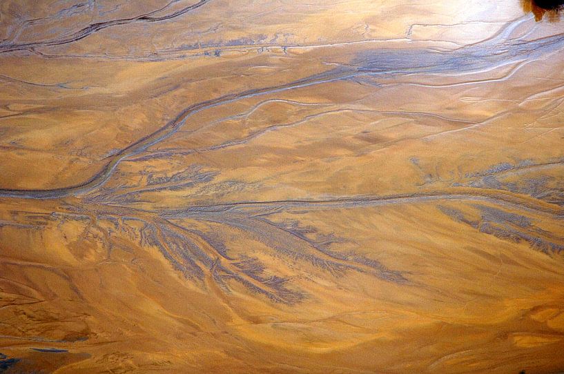 Ash by Patrick Henderyckx