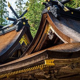 Kumano Hongū Taisha - Dächer in Harmonie von Patrick Kilb