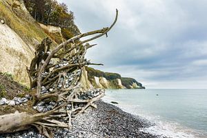 Die Ostseeküste auf der Insel Rügen im Herbst
