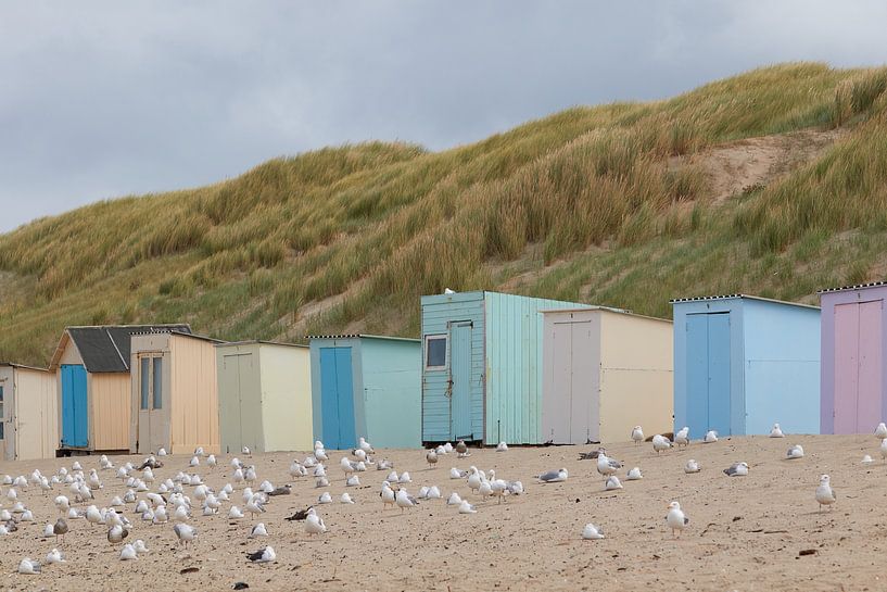 Beach cottages on Texel by Jolene van den Berg