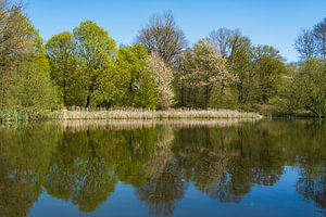 Limburgse natuur van MientjeBerkersPhotography