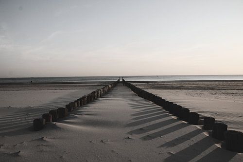 Strand Zealand zwart-wit