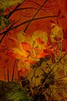 Flower patterns