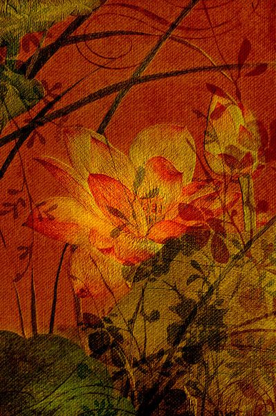 Motifs floraux par Anouschka Hendriks