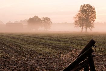 Herfstdag met zonsopkomst en ochtendmist