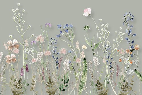 Wildflower Meadow Summer Sage