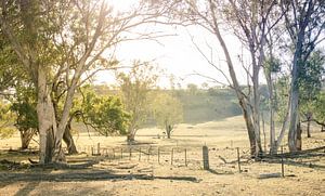 Op de boerderij in Garrawilla, Australië
