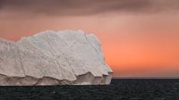 Eisberg im Rossmeer Antarktis von Family Everywhere Miniaturansicht