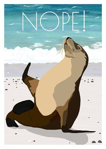 Nope Beach Sea Lion