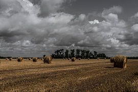 Straw rolls in a field with beautiful clouds