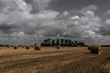 Straw rolls in a field with beautiful clouds by Ans Bastiaanssen
