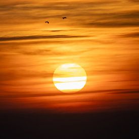 The Last Glow by Sebastian Stef