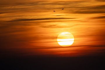 Der letzte Glanz von Sebastian Stef