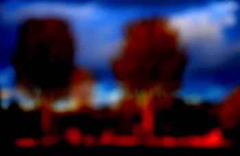 Two Trees