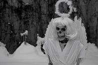 Letzter Engel Skelett eines Engels in weißem Schnee von Babetts Bildergalerie Miniaturansicht