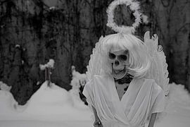 Last angel skeleton of an angel in white snow