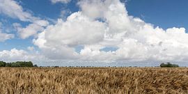 Niederländische Landschaft von Etienne Oldeman