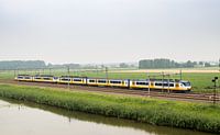 Dutch train in a typical Dutch polder landscape