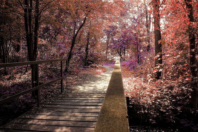 color by richard admiraal