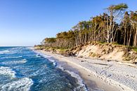 Baltic Sea coast on the Darss peninsula by Sascha Kilmer thumbnail