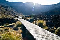 Tongariro Crossing van Lieke Doorenbosch thumbnail