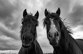 Romantisme équestre