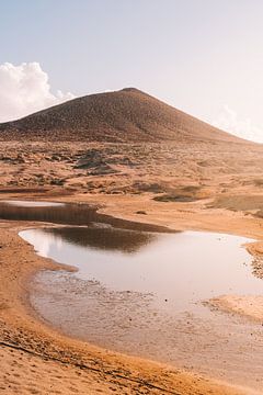 Rode berg in El Médano, Tenerife van Elke Wendrickx