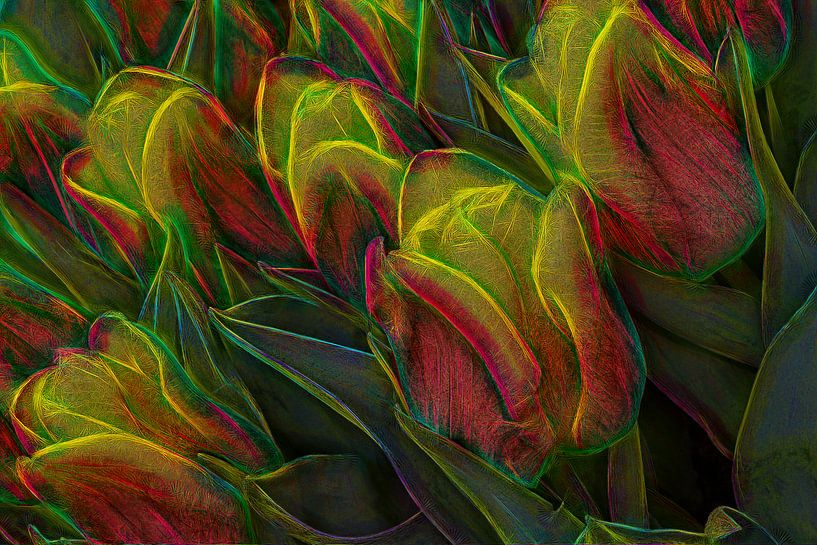 Abstrakte tulpen von eric van der eijk