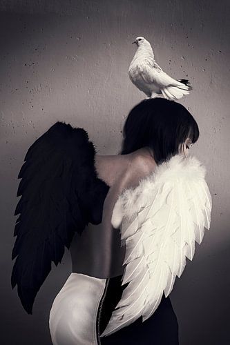 Beeldmanipulatie van Gedeeltelijk Gevallen Engel - Symbolisch Kunstwerk voor Uw Interieur