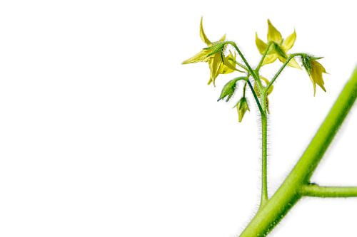 Een oase van eenzaamheid.