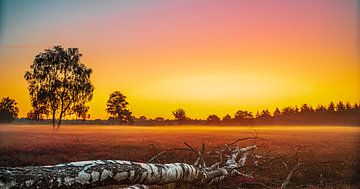 Sonnenaufgang über einer Heidelandschaft von dr. Bart fotografie