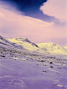 Spitsbergen 2 van Henk Leijen