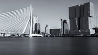 Erasmusbrug en De Rotterdam von Amir Cengic Miniaturansicht
