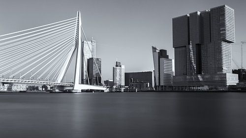 Erasmusbrug en De Rotterdam