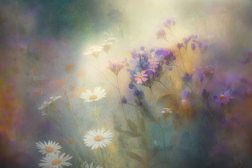 Een dromerig bloemenveld met margrieten en paarse wilde bloemen in zacht licht