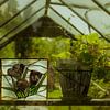 Gewächshaus‑Stillleben – Buntglas & Topfpflanze | Botanische Wandkunst von Toaster Studio – Kreative Fotografie