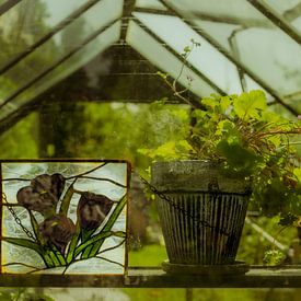 Greenhouse Still Life – Stained Glass & Potted Greenery | Botanical Wall Art by Brave Toaster Photography