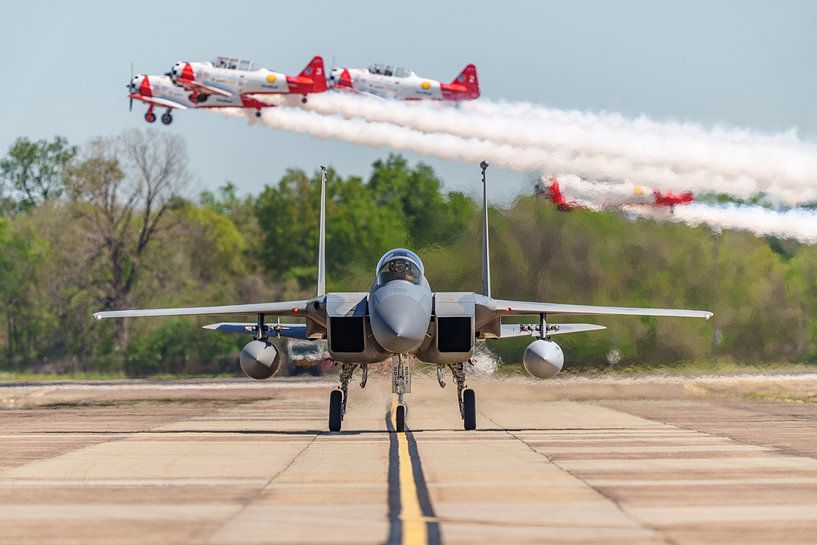 Bayou Militia McDonnell Douglas F-15C Eagle. by Jaap van den Berg