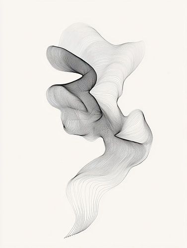 Formes fluides abstraites en noir et blanc, composées de lignes tourbillonnantes