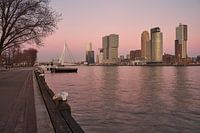 Skyline Rotterdam South
