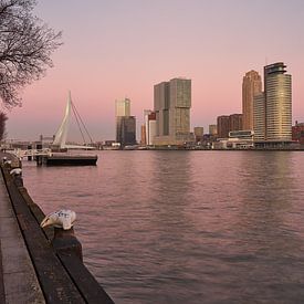 Skyline Rotterdam South by EdsCaptures fotografie