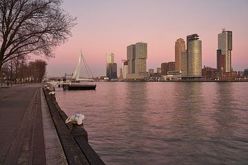 Skyline Rotterdam South by EdsCaptures fotografie