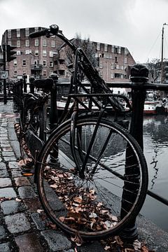 Old Dutch grandma bike by Jeff.Framez