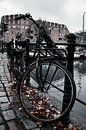 Old Dutch grandma bike by Jeffrey Hensen thumbnail